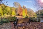 Atatürk Arboretumu, Atatürk Arboretumu fotoğraf, Atatürk Arboretumu fotoğraf çekimi, Atatürk Arboretumu görüntüleri