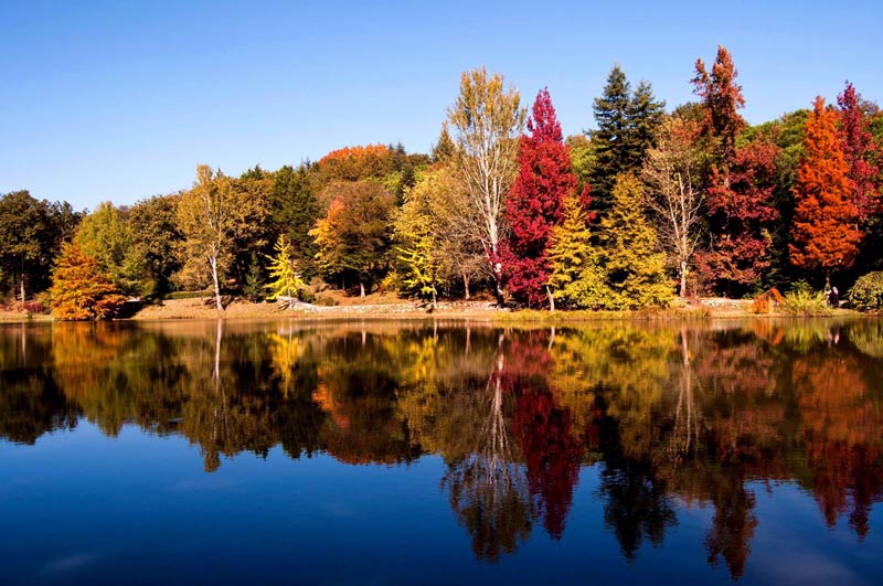 Atatürk Arboretumu Giriş Ücreti, Atatürk Arboretumu Giriş Ücreti 2019, Atatürk Arboretumu Giriş Ücretleri, Atatürk Arboretumu ücreti, Atatürk Arboretumu Giriş Ücreti fiyatı