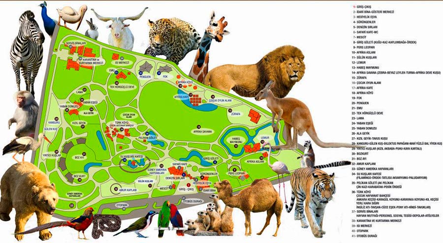 bursa hayvanat bahçesi kroki, bursa hayvanat bahçesi harita, bursa hayvanat bahçesi krokisi, bursa hayvanat bahçesi haritası