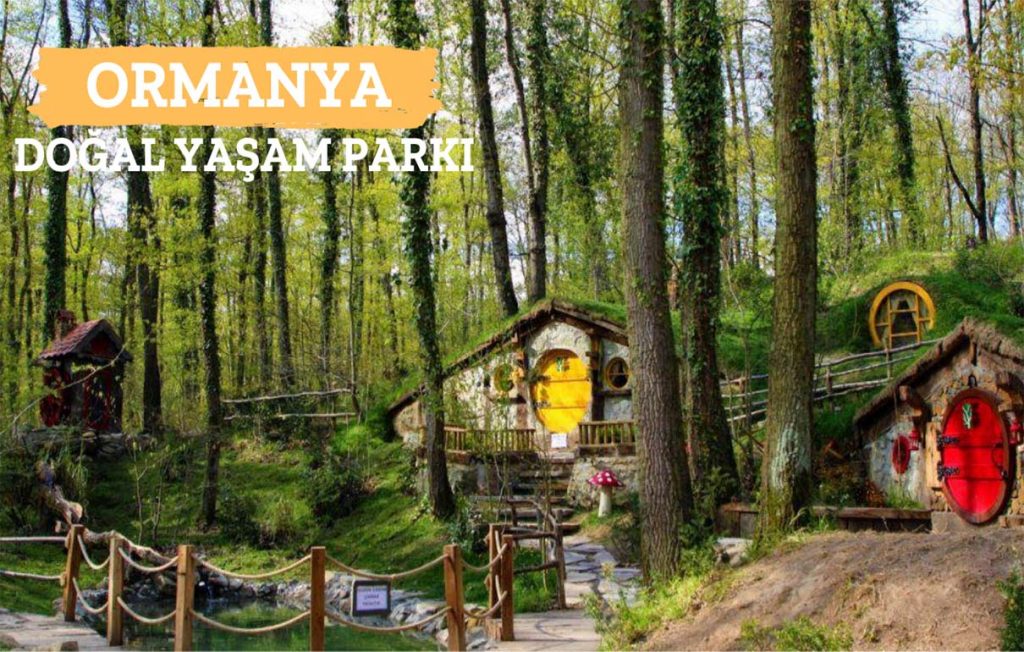 Ormanya, Ormanya kocaeli, Kocaeli Ormanya, Ormanya Tabiat parkı, Ormanya doğal yaşam merkezi, Ormanya nerede, Ormanya nasıl gidilir, Ormanya giriş ücreti, Ormanya hakkında bilgi, Ormanya yorumlar