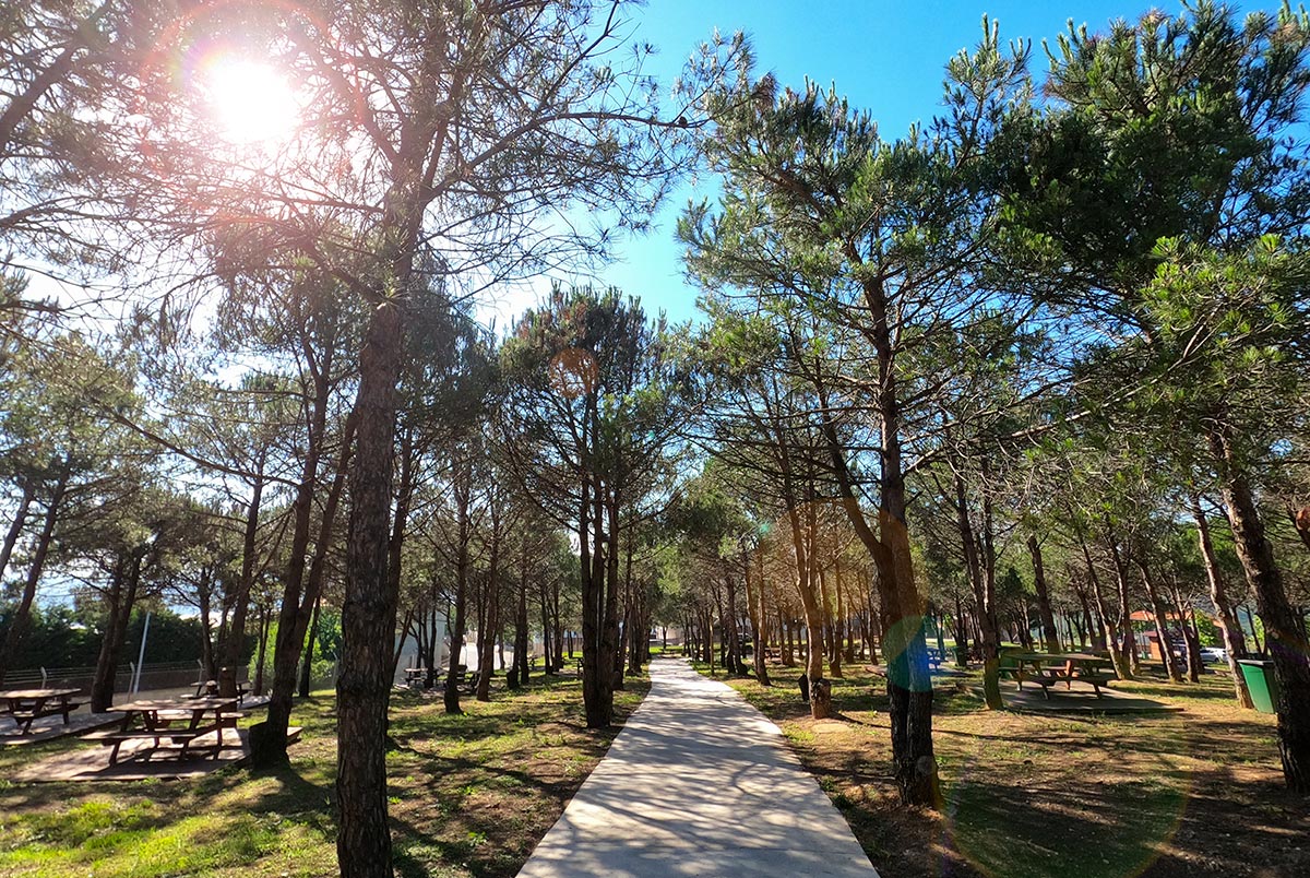 Karlıtepe Mesire Alanı, Karlıtepe Mesire Alanı nerede, Beykoz Karlıtepe Mesire Alanı, Karlıtepe Mesire Alanı giriş ücreti, Karlıtepe Mesire Alanı nasıl gidilir, Karlıtepe Mesire Alanı yorumlar, Karlıtepe Mesire Alanı hakkında bilgi, Karlıtepe Mesire Alanı manzarası, Karlıtepe Mesire Alanı mangal, Karlıtepe Mesire Alanı ulaşım, Karlıtepe Mesire Alanı görsel