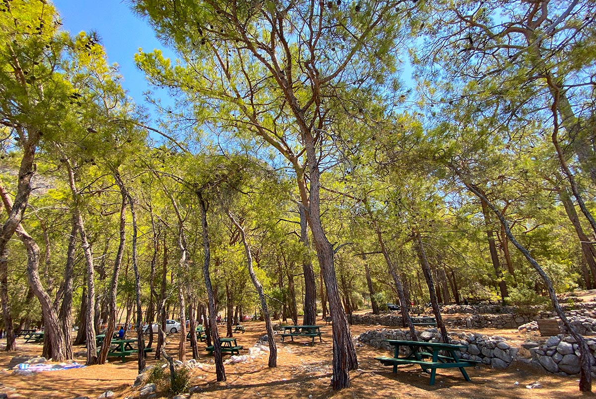 Kıdrak, Kıdrak koyu, Kıdrak plajı, Kıdrak tabiat parkı, Ölüdeniz Kıdrak koyu, Ölüdeniz Kıdrak plajı, Fethiye Kıdrak koyu, Fethiye Kıdrak plajı, Kıdrak koyu giriş ücreti, Kıdrak koyu yorumlar, Kıdrak beach, Kıdrak beach foto, Kıdrak koyu nerede